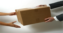 Domestic Courier Services 